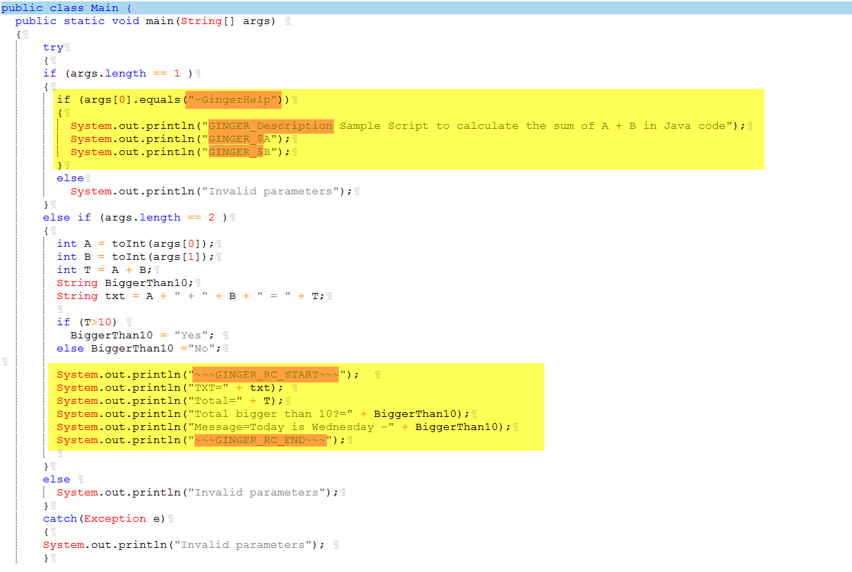 Java Execution Action User Guide