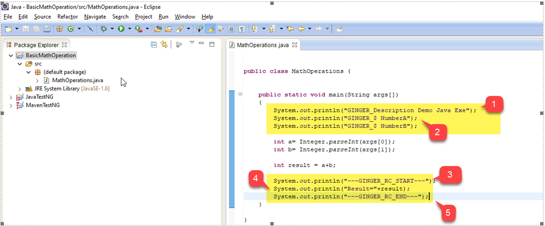 Java Execution Action